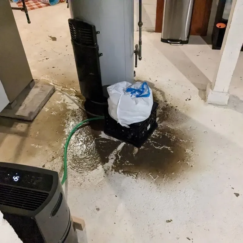 Sewage Backup Cleanup Service in Lander County, NV